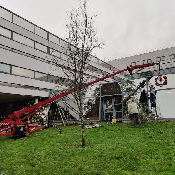 Trans-Pose, Trans-Pose, 